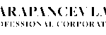 Karapancev Law logo
