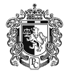 Chand & Co. logo